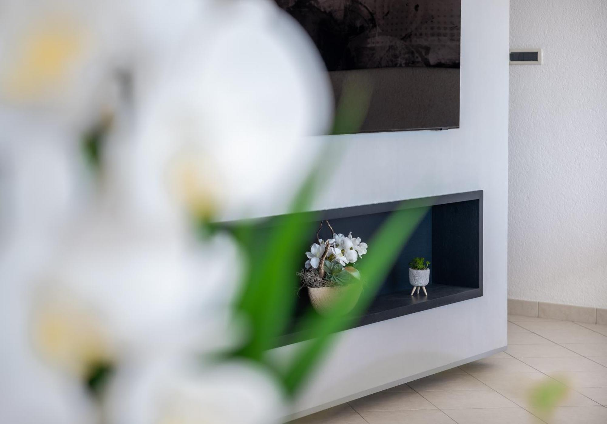 More Apartment Trogir